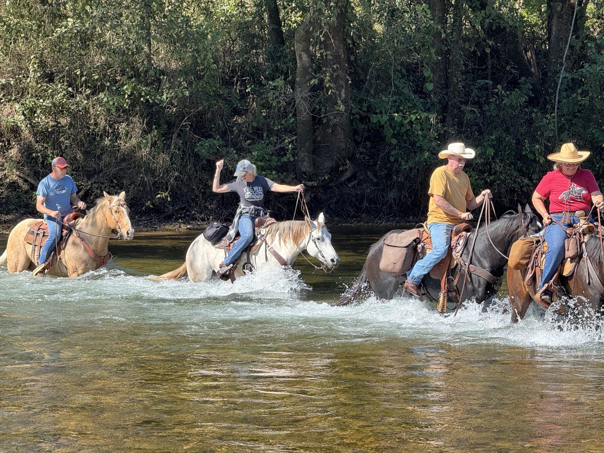 Horses crossing a river