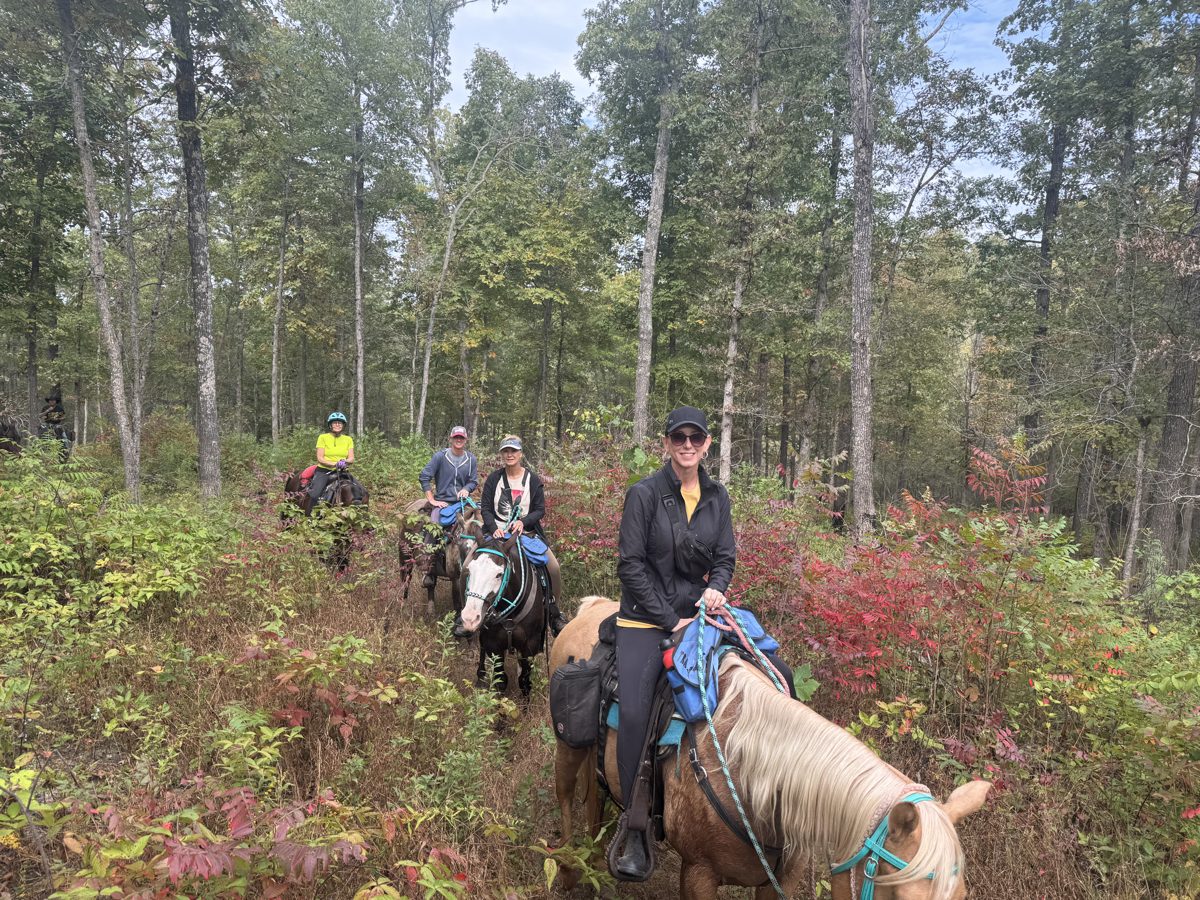 Riders on a wooded trail